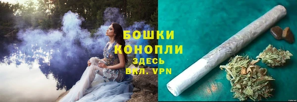 прущие грибы Нягань