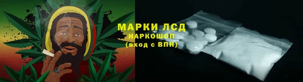 прущие грибы Нягань