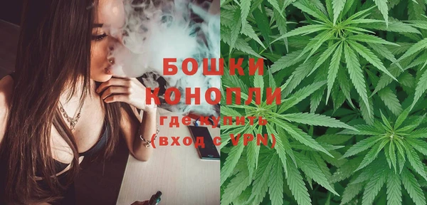 прущие грибы Нягань