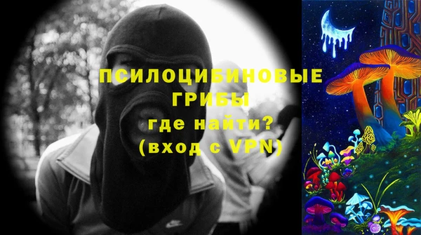 прущие грибы Нягань