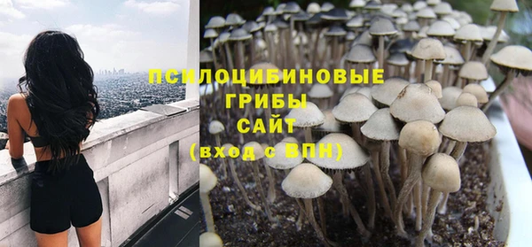 гидропоника Няндома