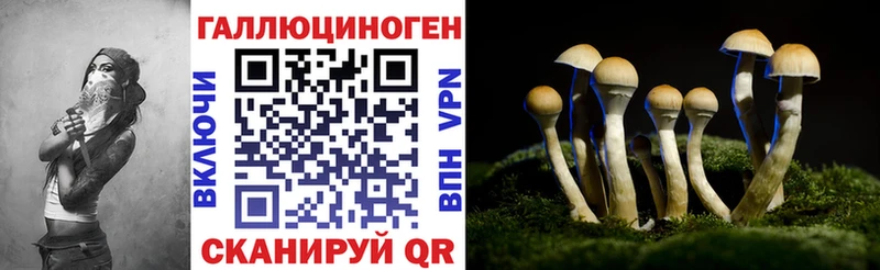 Псилоцибиновые грибы Psilocybine cubensis  Микунь 